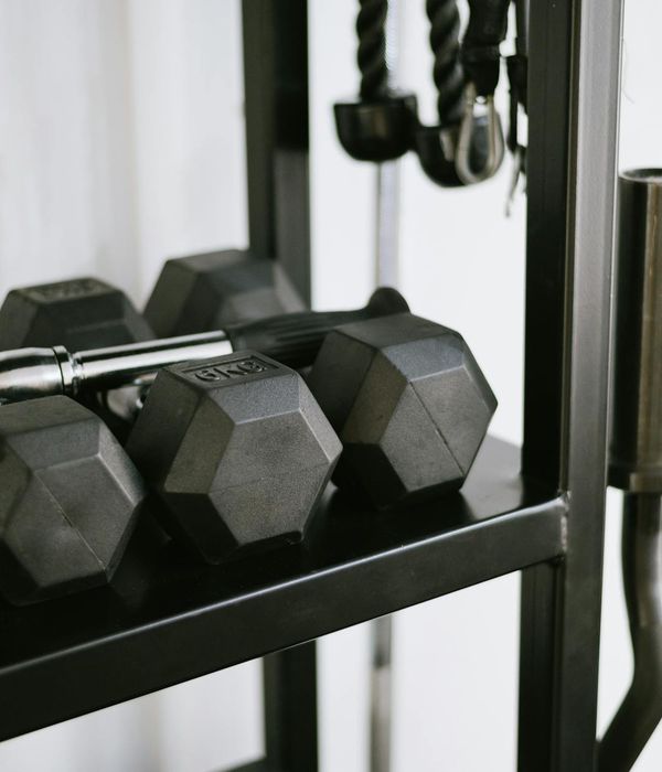 A collection of fitness equipment neatly arranged on a rack.